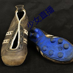 918博天堂·(中国)手机版客户端