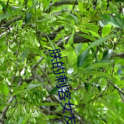 AG真人平台(中国)官方网站