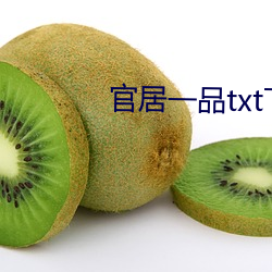 官居一品txt下載