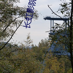 长虹影院 （系列）