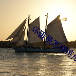 坏蛋是怎样练成的2