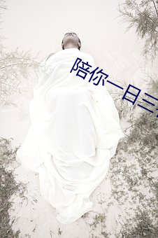 陪你一日三餐同你一夜暴富