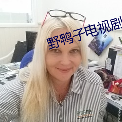 野鸭子电视剧