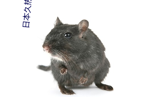 日(rì)本久热