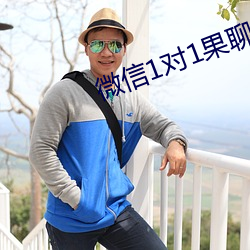 微信1對1果聊