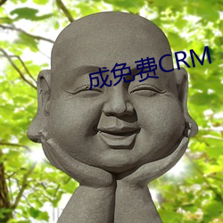 成免费CRM