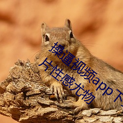 操逼(bī)视(shì)频(pín)app下(xià)载安装(zhuāng)站长(zhǎng)统计美女(nǚ)裸(luǒ)照图片性感尤物