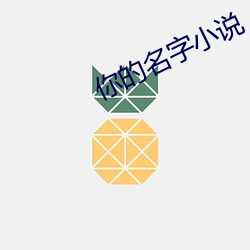 你的名(míng)字小(xiǎo)说