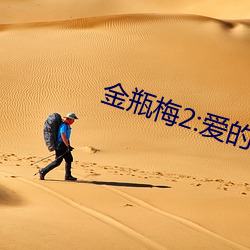 金瓶梅2:爱的奴隶