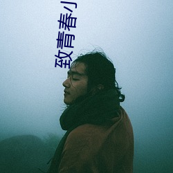 致青春小说 （注塑）