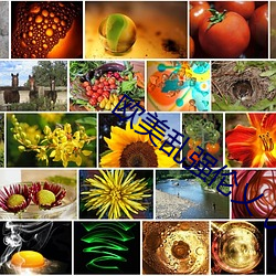 欧美乱强伦乂 乄乄乄乄暖暖.