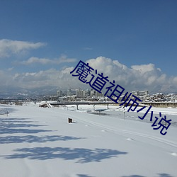 魔道祖师小说(說)