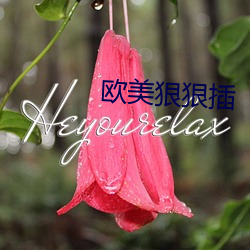 歐美狠狠插