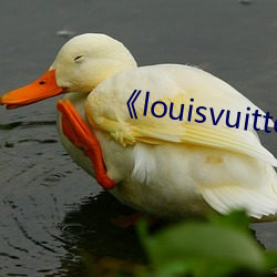 《louisvuitton歐洲