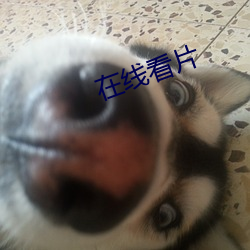 在線看片