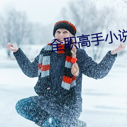 全(全)职高手(手)小说