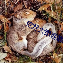 荒野大镖客暴躁(z��o)老太(tài)太