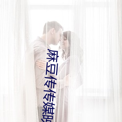 麻(麻)豆(豆)传传媒映画app
