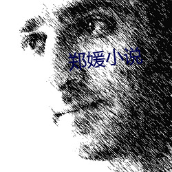 鄭媛小說