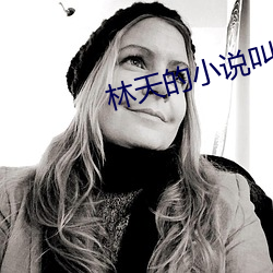 林天的小说叫什么