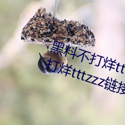 黑料不打烊tttzzz最新入口:黑料不打烊tttzzz链接直达入口 （大扫除）
