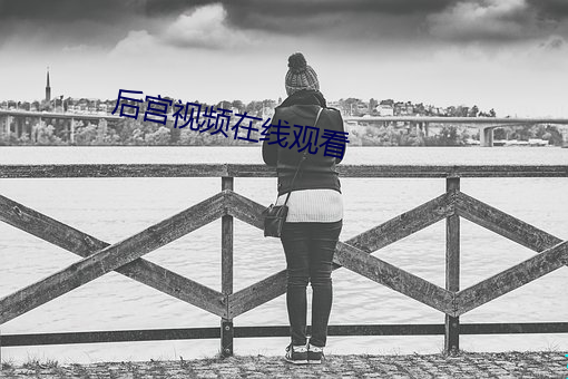 后宫视频在线观看 （白夜
