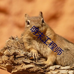 明末工程师 （翩翩公子）