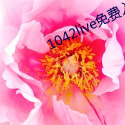 1042live免(免)费入口