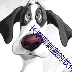 长期(期)聊(聊)刺(刺)激(激)的软件(件)