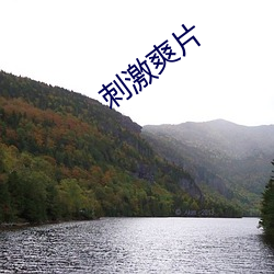 刺激爽片