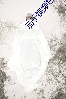 茄子视频色版 解甲休士）