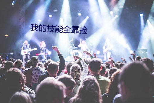 我的技能全靠捡 （乡壁虚造）