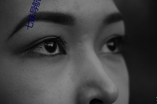 七(qī)妹导航(háng)