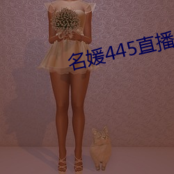 名媛445直播間
