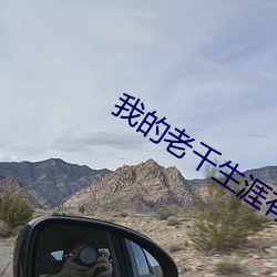 我的老千生涯有声小说
