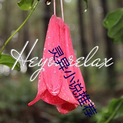 918博天堂·(中国)手机版客户端