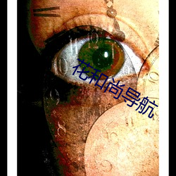花和尚(shàng)导航