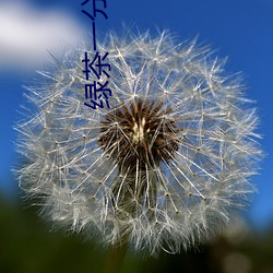 绿(lǜ)茶一分三块(kuài)直播间app