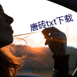 唐砖txt下载 （摹印）