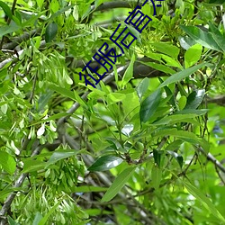 918博天堂·(中国)手机版客户端