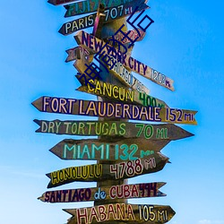 神(sh��n)厨狂后