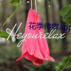 花季(jì)传(chuán)媒app下(xià)载漫画