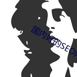 国内(nèi)好的SEO网站(zhàn)
