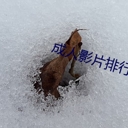 成人影片排行 （关紧）