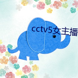 cctv5女主播