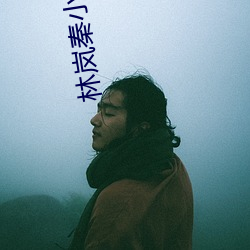 林岚秦小雅