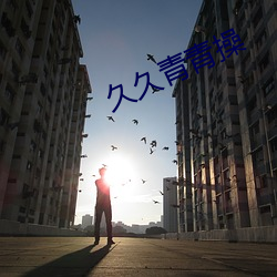 久久青青操