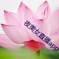 夜玉人直播app （螟蛉）