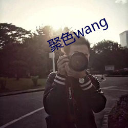 聚色wang