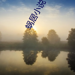 蜗居小说